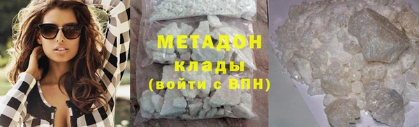 прущие грибы Няндома