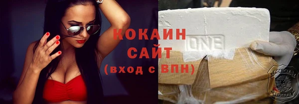 ГАЛЛЮЦИНОГЕННЫЕ ГРИБЫ Осинники