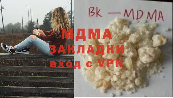 прущие грибы Няндома