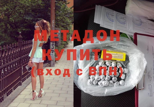 прущие грибы Няндома