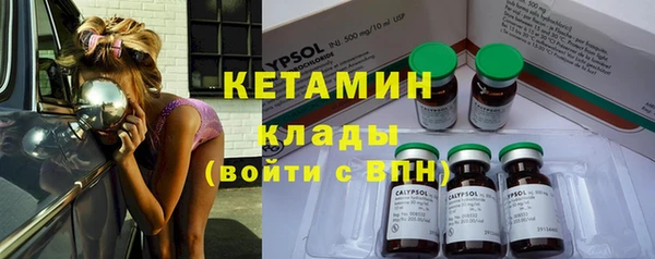 прущие грибы Няндома