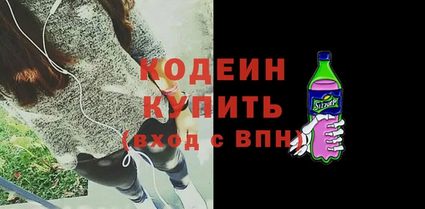 прущие грибы Няндома