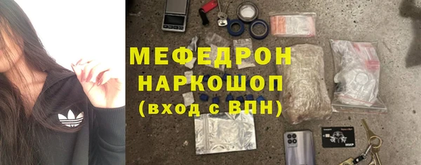 прущие грибы Няндома