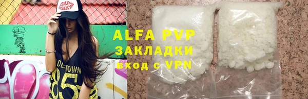 ГАЛЛЮЦИНОГЕННЫЕ ГРИБЫ Осинники