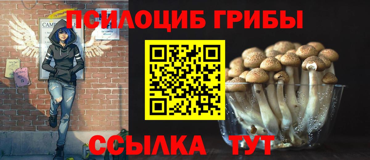 Грязи  магазин продажи наркотиков  Псилоцибиновые грибы прущие грибы  Вход с VPN  Псилоцибиновые грибы мицелий 