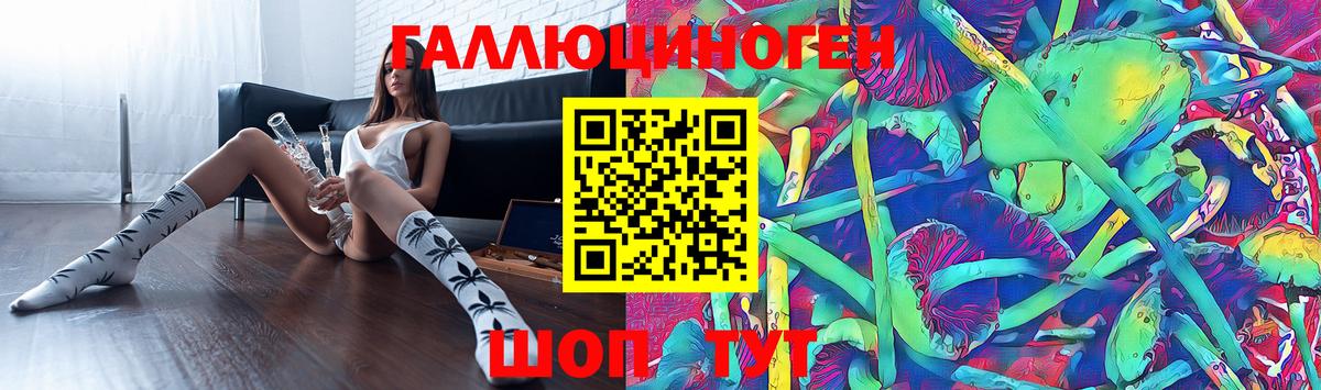 Псилоцибиновые грибы прущие грибы  Грязи  Галлюциногенные грибы Psilocybine cubensis 